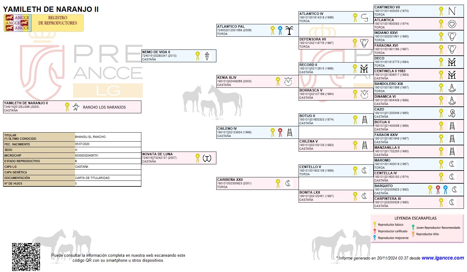 Yamileth de naranjo Pedigree
